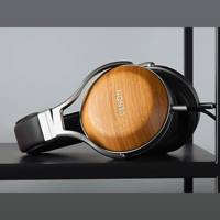 Denon AH-D9200 variant 10