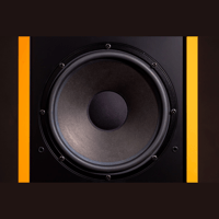 Davis Acoustics Renoir Evolution variant 16