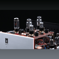 SW1x DAC X variant 11