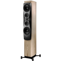 Dynaudio Confidence 60 variant 18