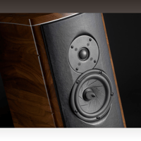 Franco Serblin Accordo Essence variant 4