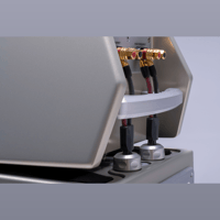 Wilson Audio The WATT/Puppy variant 23