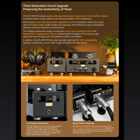 Cayin HA-300 MK3 variant 4