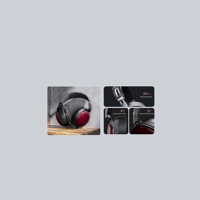 FiiO FT13 variant 16