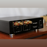 VTV Amplifier WBT-0702.01 TopLine Binding Post Stereo Upgrade variant 2