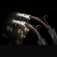 AudioQuest FireBird RCA > RCA variant 2