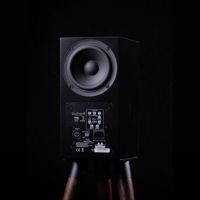 Buchardt Audio A200 variant 6