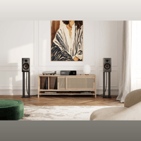 Revival Audio SPRINT 3 variant 6