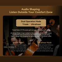 Cayin Soul 170HA variant 17