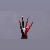 SW1x Magnum Reference Litz Copper Cable variant 10