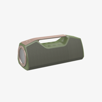 Wharfedale Exson M variant 2