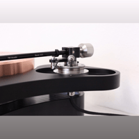 TW-Acustic Raven Anniversary variant 11