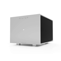 Pilium Audio Kratos Mono Power Amplifier variant 1