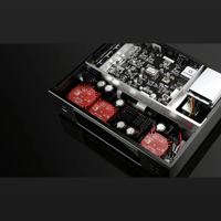 Aurender N20 variant 11