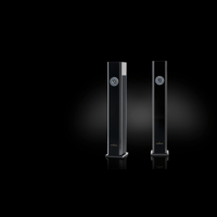 Brodmann F2 variant 1