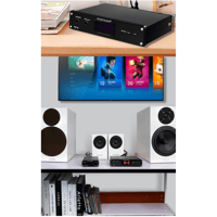 FX Audio PW-6 variant 9