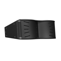 Blaze CCA10i variant 1