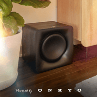 Klipsch Flexus Sub 100 variant 3