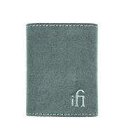 ifi Audio hip-case variant 2