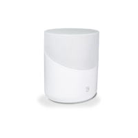 Bluesound PULSE M variant 6