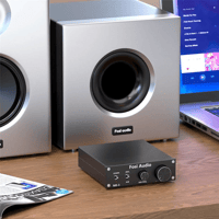 Fosi Audio Fosi Audio M03 Subwoofer Mono Amplifier variant 6