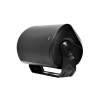 Denon Polk Atrium 8 SDI variant 2