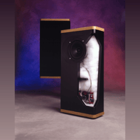 Vandersteen VSM-1 variant 1