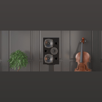 Acoustic Energy AE2 40th Anniversary Edition variant 10