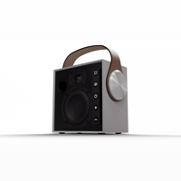 Morel Hifi BIGGIE variant 4