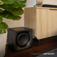 Onkyo Flexus SUB 100 variant 2