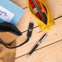 AudioQuest DragonFly Black variant 2