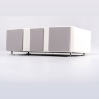 Wilson Audio WASAE Center Channel variant 5