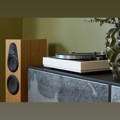 Linn Selekt LP12