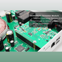 Denafrips Arcas Streamer variant 12