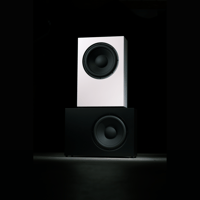 Buchardt Audio SUB10 variant 22