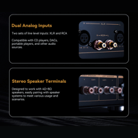 Cayin Soul 170HA variant 31