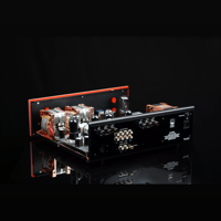 SW1x AMP II “Trident” Integrated Amplifier variant 7