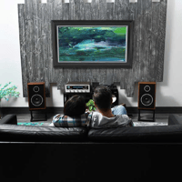 KLH Audio Model Three Bookshelf Speaker variant 39