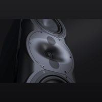 Perlisten R5t variant 6