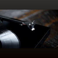 Sumiko Rainier variant 5