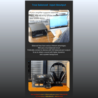 FX Audio R06-High-quality balanced line architecture headphone amplifier variant 5