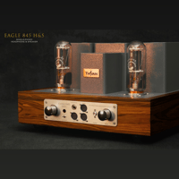 ThivanLabs EAGLE 845 H&S variant 2