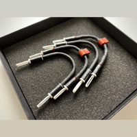 Ikigai Audio Sugure variant 4