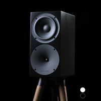 Buchardt Audio P300 variant 1