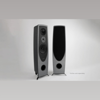 Rega AYA variant 11