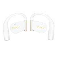 Cleer ARC 5 variant 7