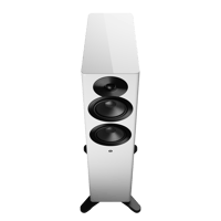 Dynaudio Focus 30 variant 9