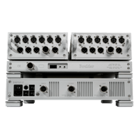 Boulder Amplifiers 2110 variant 4