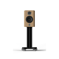 Marten Dexter Duo variant 11