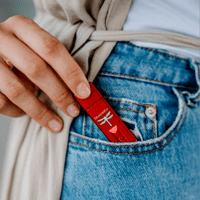 AudioQuest DragonFly Red variant 2